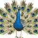 Jeesal Group