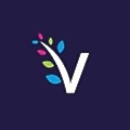 Vibrant Energy Matters