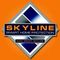 Skyline Security Management
