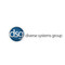 Diverse Systems Group