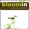 Bloomin