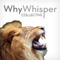 WhyWhisper