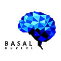 Basal Nuclei