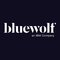 Bluewolf