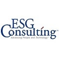 ESG Consulting