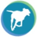 LeadDog Consulting