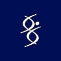 Ipsen