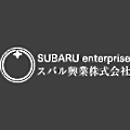 Subaru Enterprise