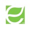 Energy Focus