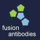 Fusion Antibodies