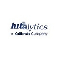 Intalytics