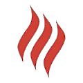 Regency Fireplace Products