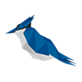 Royal Jay