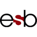 ESB Group