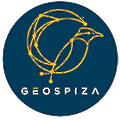 Geospiza