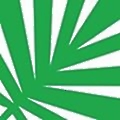 Interwood