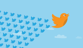  - who lost the most followers in twitter s sweeping bot purge twitter